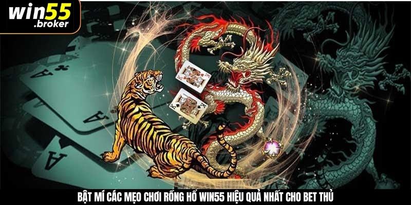 Bật mí các mẹo chơi rồng hổ WIN55 hiệu quả nhất cho bet thủ