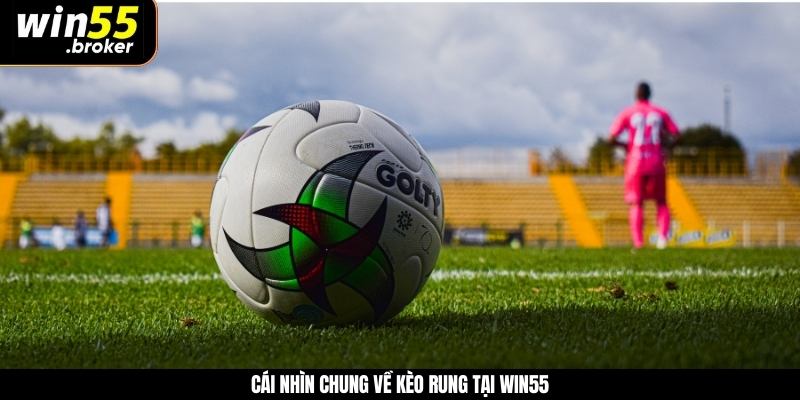 Cái nhìn chung về kèo rung tại WIN55