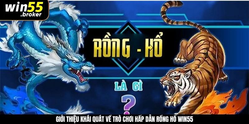 Giới thiệu khái quát về trò chơi hấp dẫn rồng hổ WIN55