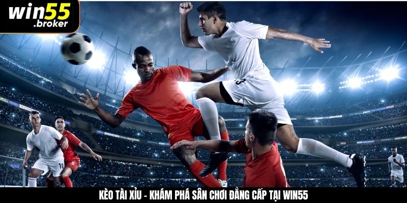 Kèo Tài Xỉu - Khám Phá Sân Chơi Đẳng Cấp Tại WIN55