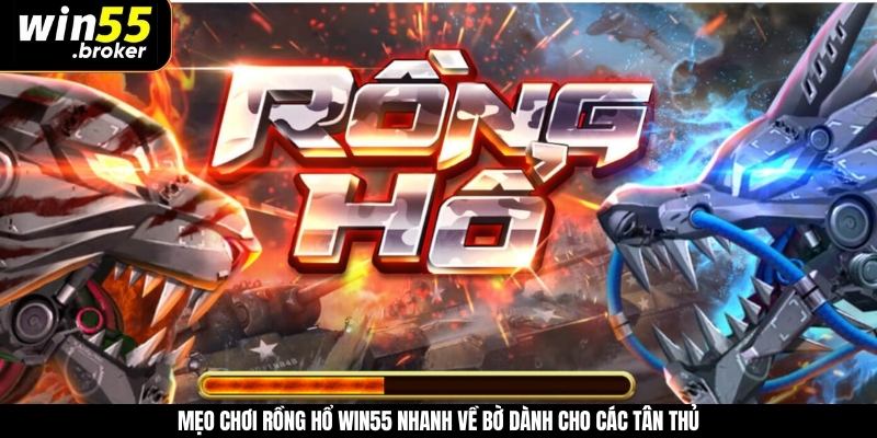 Mẹo Chơi Rồng Hổ WIN55 Nhanh Về Bờ Dành Cho Các Tân Thủ