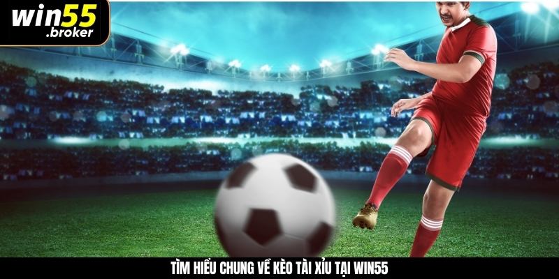 Tìm hiểu chung về kèo tài xỉu tại WIN55